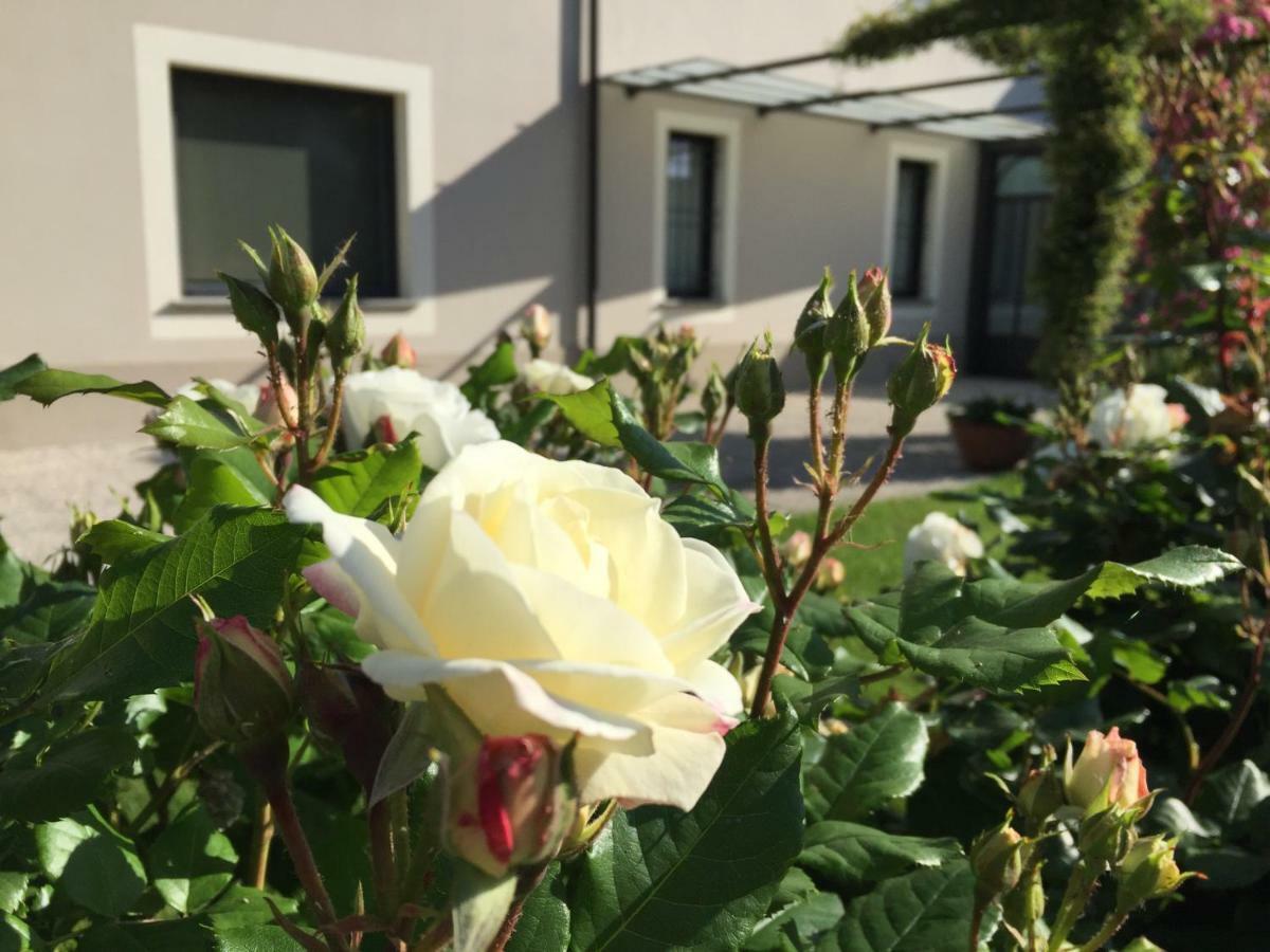 B&B Cascina Sagrestia Asola Экстерьер фото
